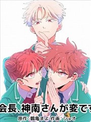二哈和他的白猫师尊封面